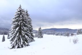 winter at high altitude 