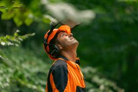 Campanie casca protectie